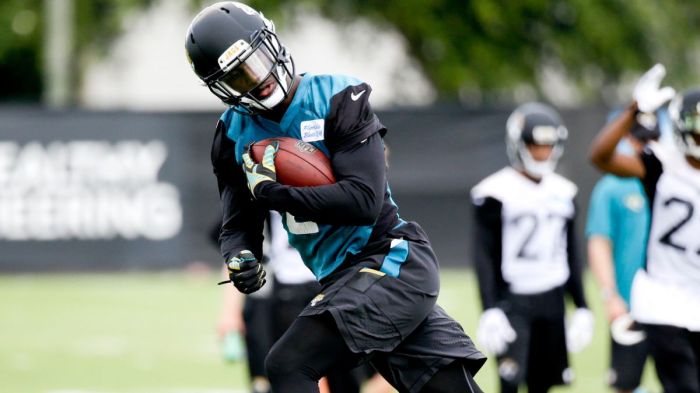 T.J. Yeldon rushed for more than 3,000 yeards and 37 touchdowns during his time at the University of Alabama. The Jaguars are hoping he brings stability to a backfield that needs it. (Photo by John Raoux)