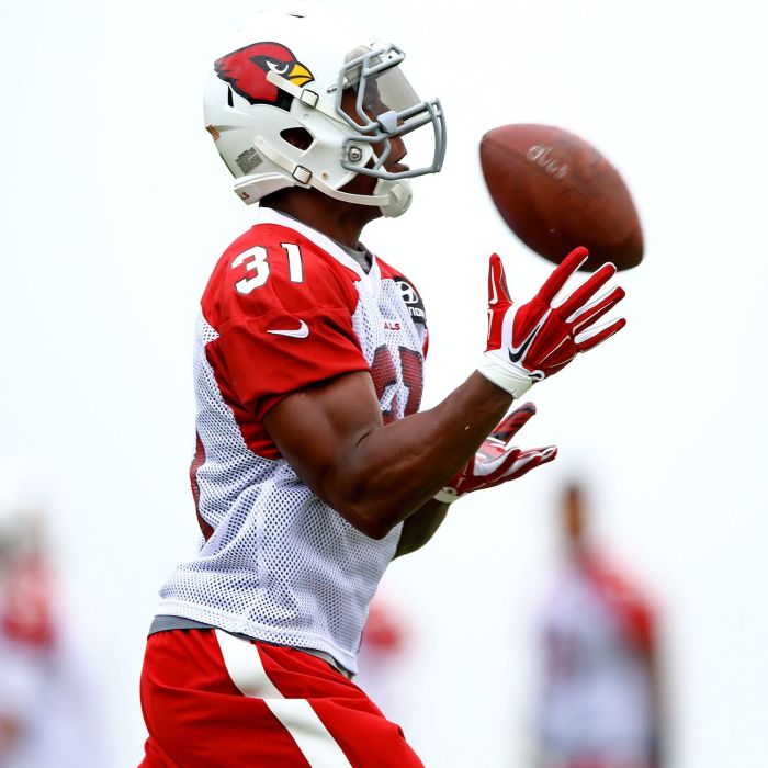 David Johnson averaged 8.4 yards per carry on five carries Sunday (42 yards) and scored a touchdown. Even though Arians is cautious with rookie running backs, I would add him this week if available. (Photo By: Mark J. Rebilas/USA TODAY Sports)